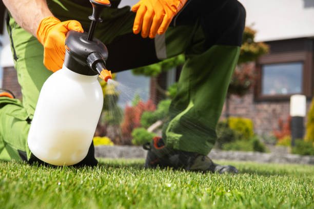 Best Residential Pest Control  in Dunsmuir, CA