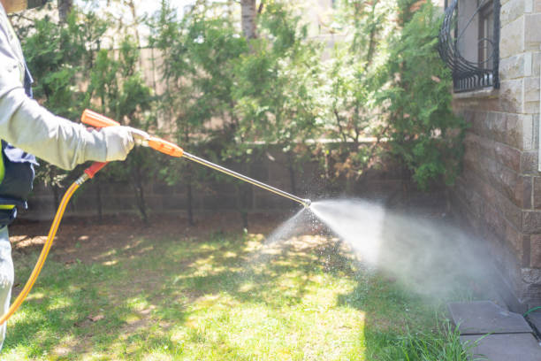 Insect Control in Dunsmuir, CA