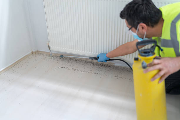 Best Pest Prevention Services  in Dunsmuir, CA